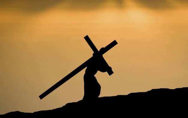 58740025_978983728975209_2240020668307472384_n